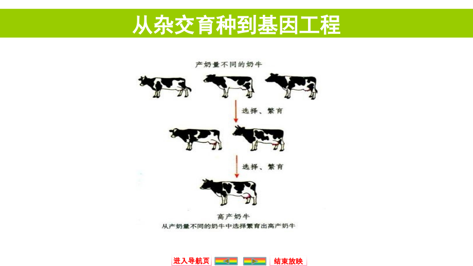自主学习能力测评高三生物一轮复习从杂交育种到基因工程上课讲义.ppt_第1页