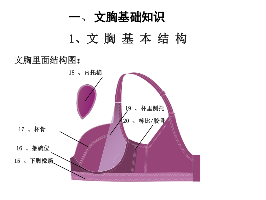 文胸基础知识上课讲义.ppt_第2页