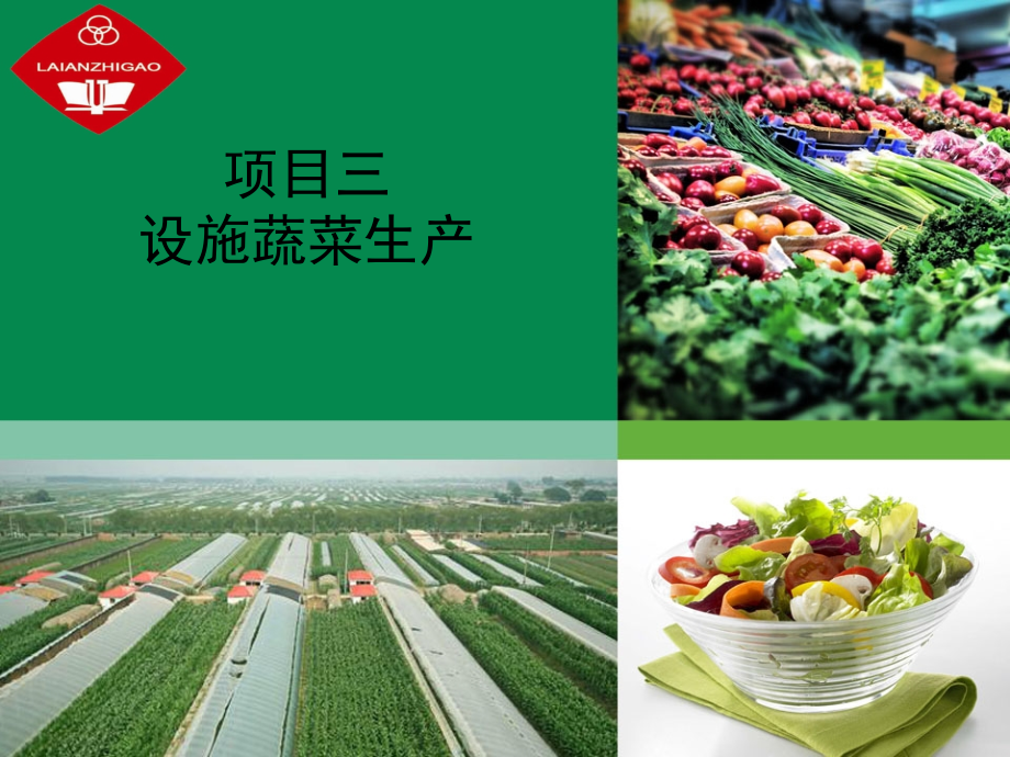 项目三设施蔬菜生产-任务一温室塑料大棚结构类型及建造教学文案.ppt_第1页