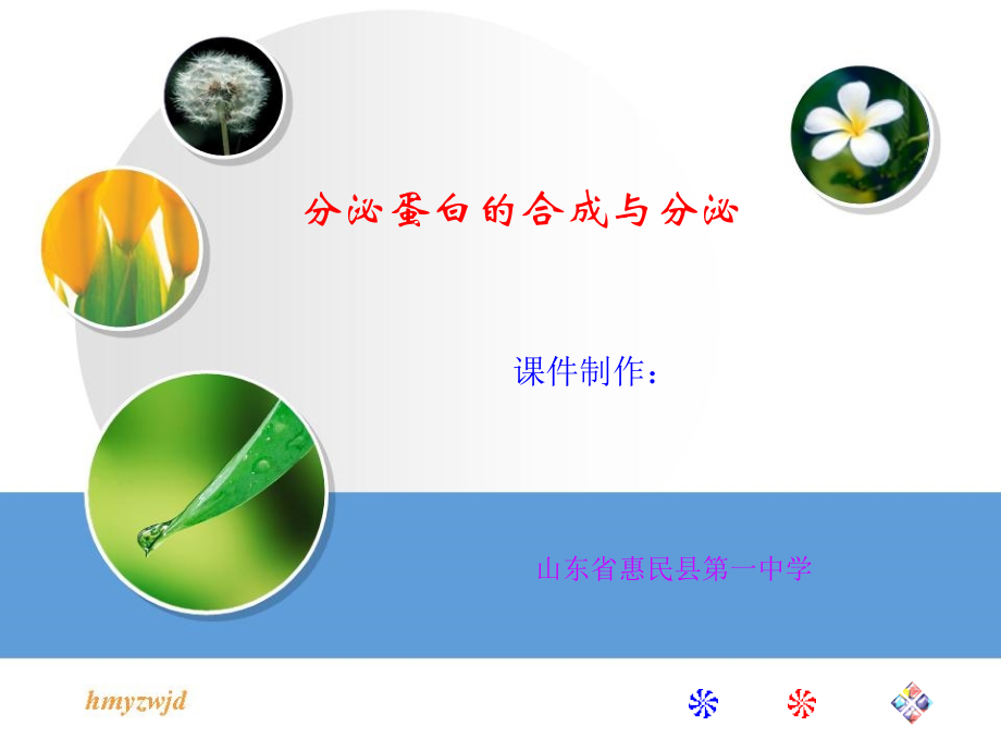 分泌蛋白的合成分泌过程教学文案.ppt_第1页
