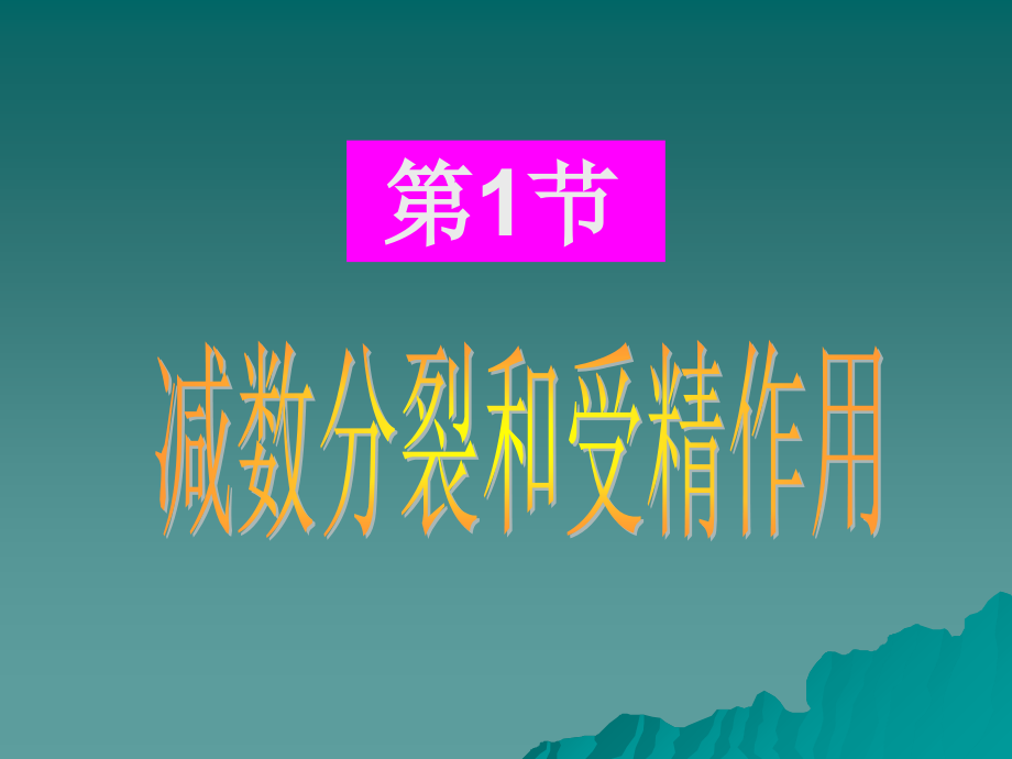 精子与卵细胞的形成教学内容.ppt_第1页