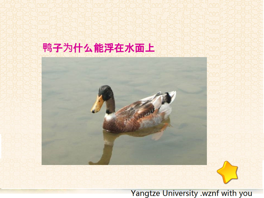 新人教版八年级下册物理浮力说课材料.ppt_第2页