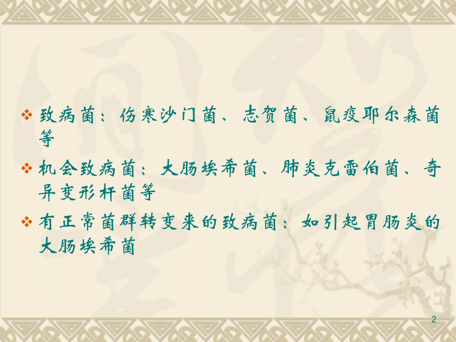 肠杆菌科1教学文案.ppt_第2页