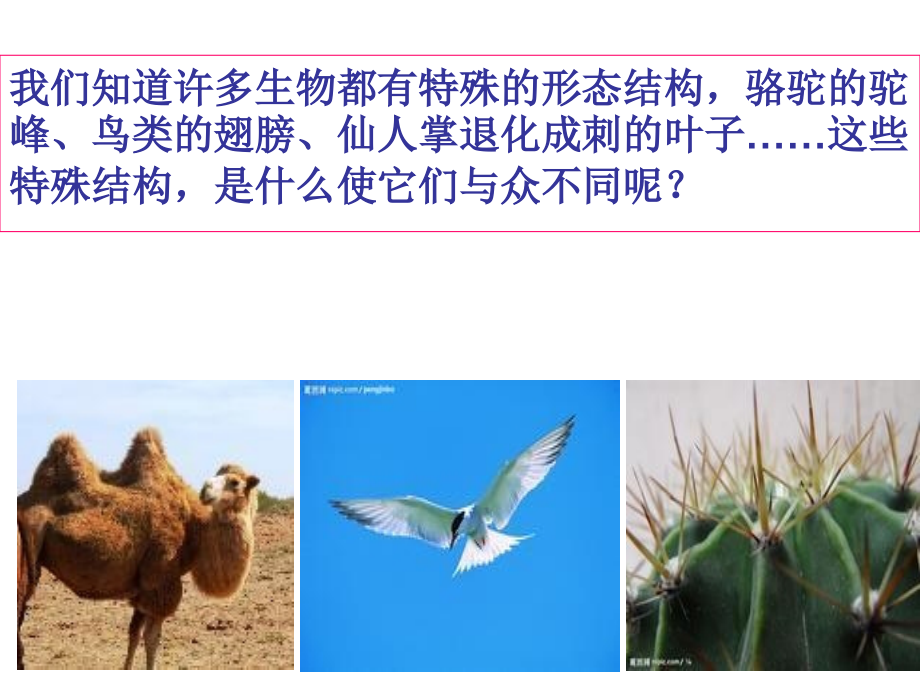 4.6-原来是相互关联的知识讲解.ppt_第2页