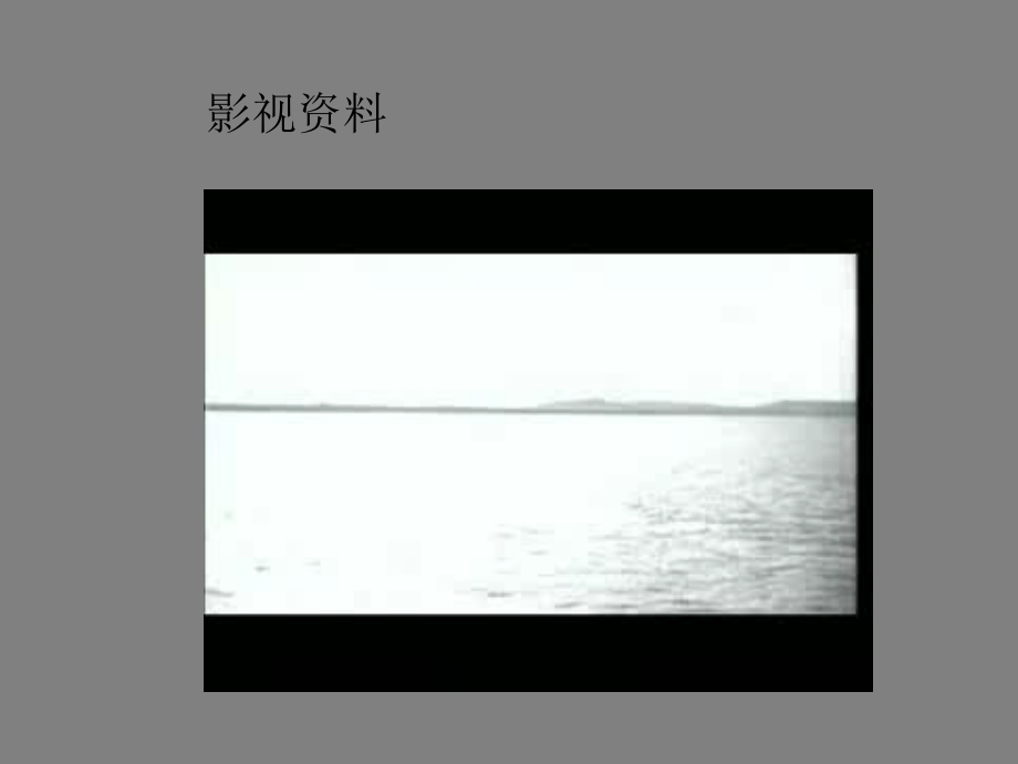 人教版必修Ⅰ第17课“解放战争”教学课件教学文案.ppt_第2页