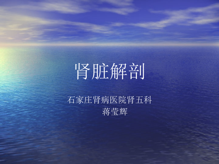肾脏解剖上课讲义.ppt_第1页