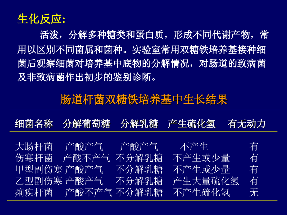 肠道杆菌2说课材料.ppt_第2页