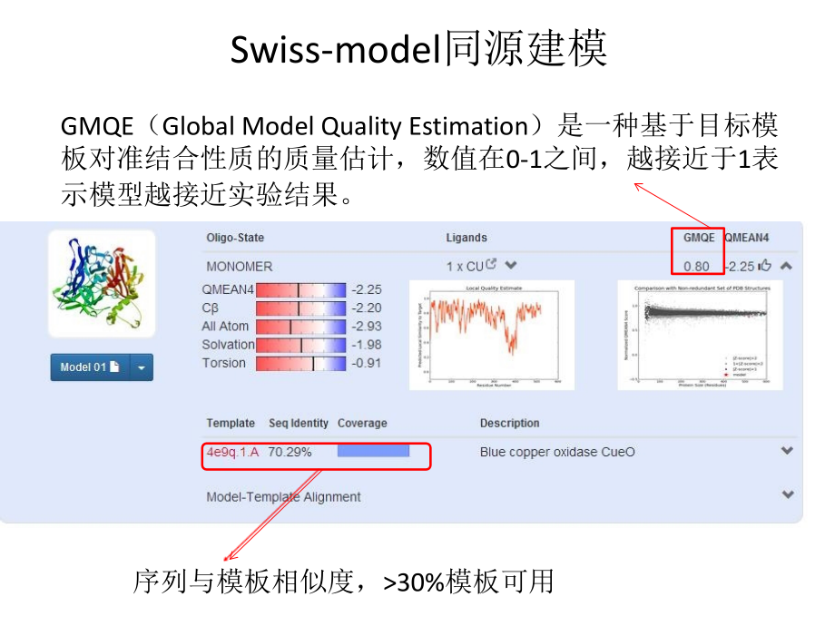 蛋白同源建模及分子对接知识讲解.ppt_第2页