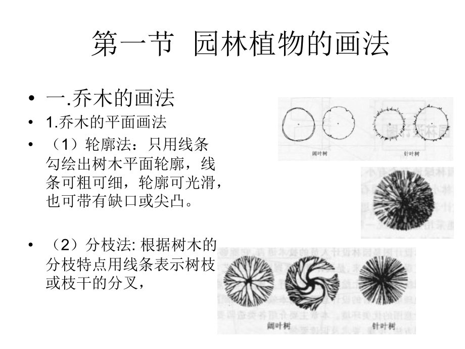 园林设计绘图技巧讲课讲稿.ppt_第2页