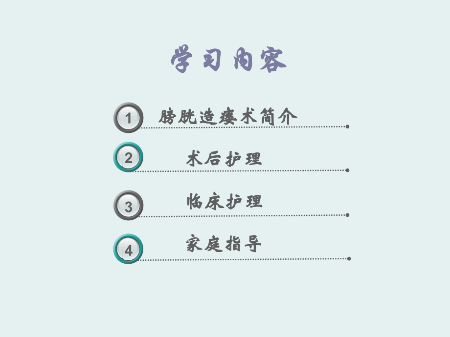膀胱造瘘护理要点培训资料.ppt_第2页