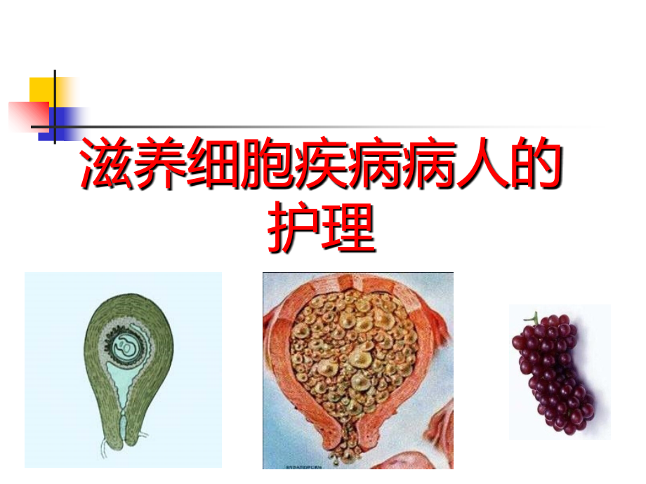 滋养细胞疾病的护理讲解学习.ppt_第1页