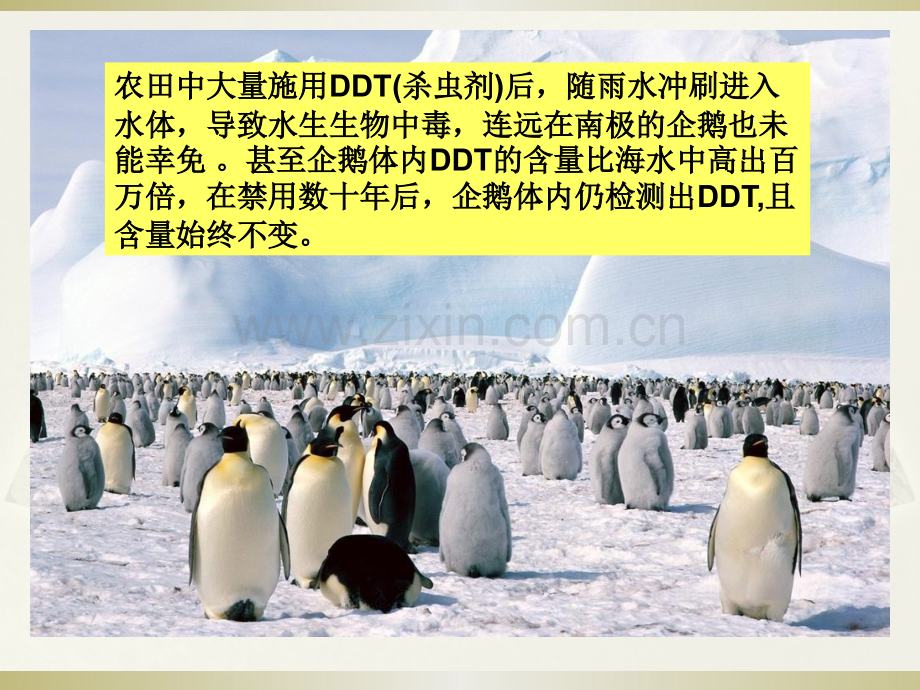 生态系统的结构-2018校公开课资料.pptx_第1页