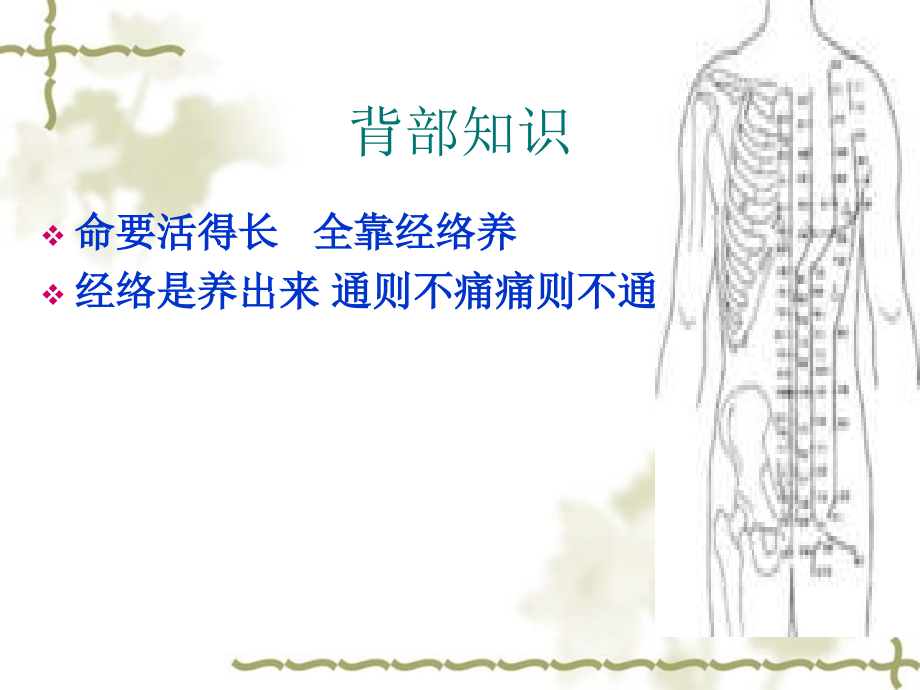 背部知识说课材料.ppt_第1页