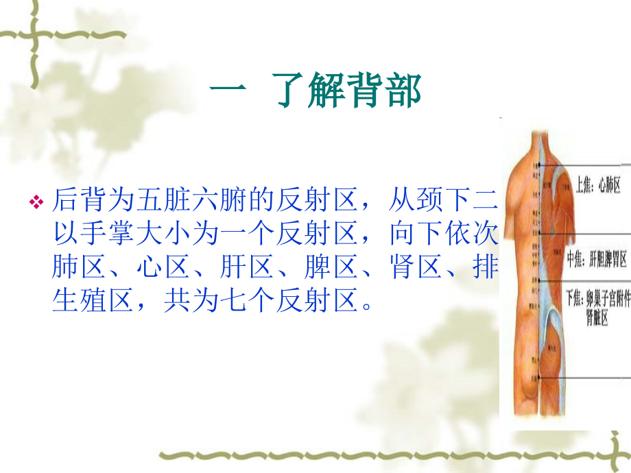 背部知识说课材料.ppt_第2页
