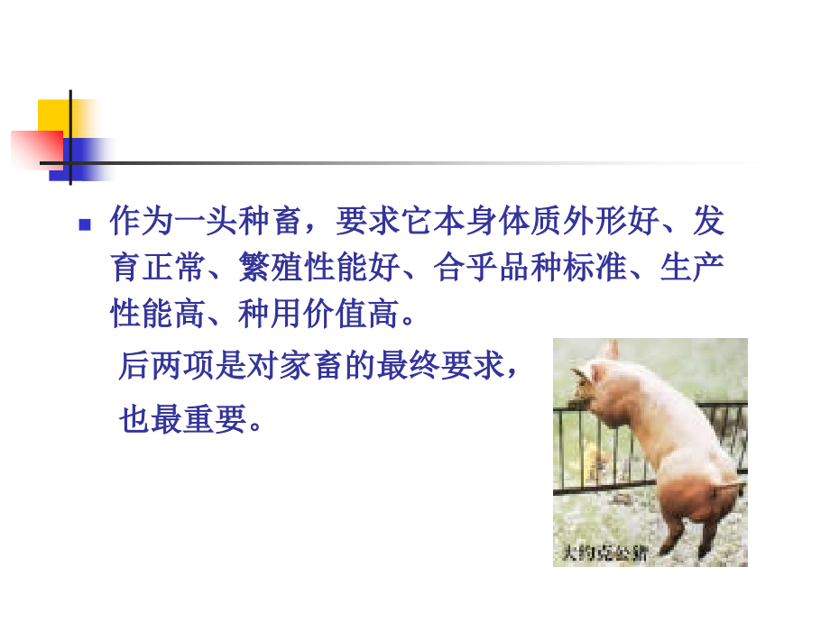 家畜育种学-第三章生产性能测定讲课教案.ppt_第2页