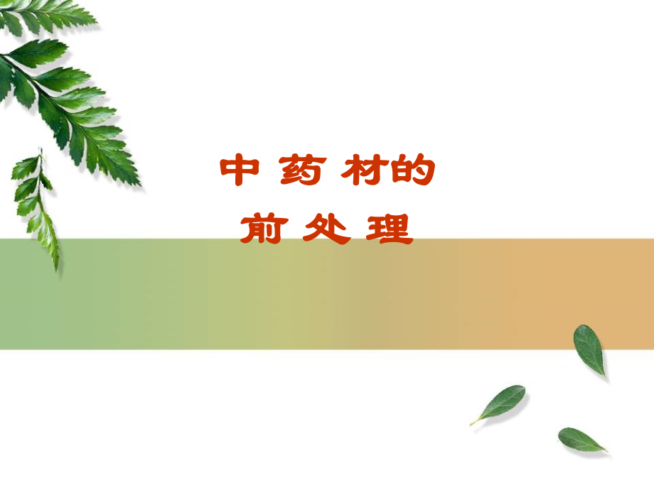 中药材的前处理复习过程.ppt_第1页