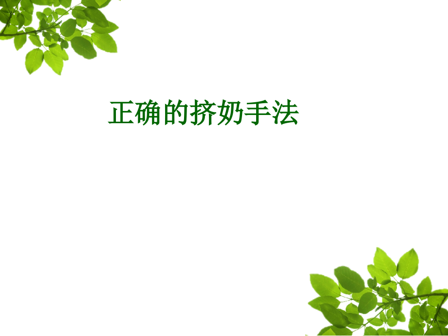 正确的挤奶手法上课讲义.ppt_第1页