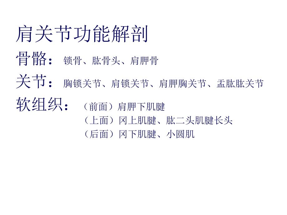 肩关节检查法(全)教案资料.ppt_第2页