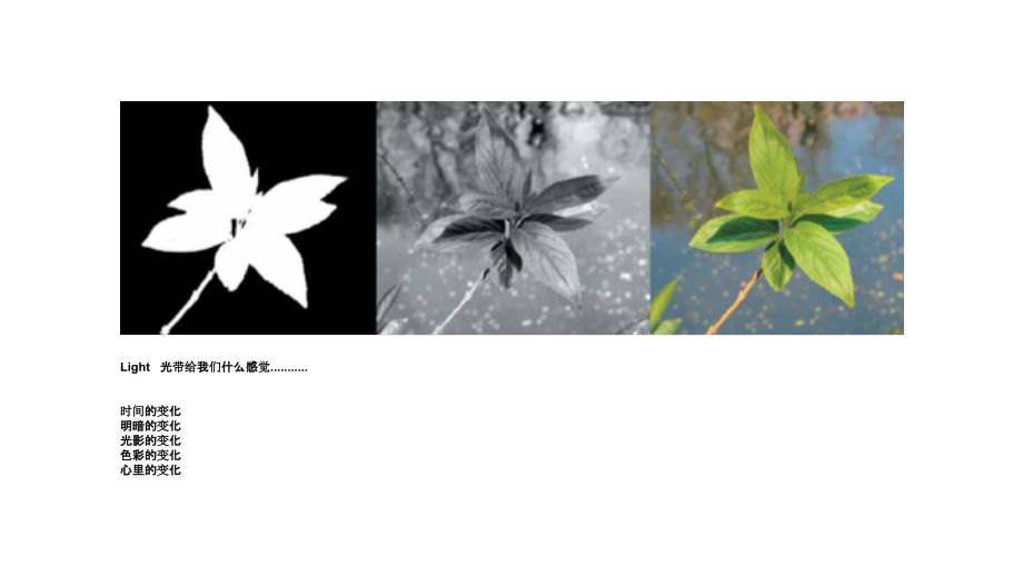 照明基础知识教学文案.ppt_第2页