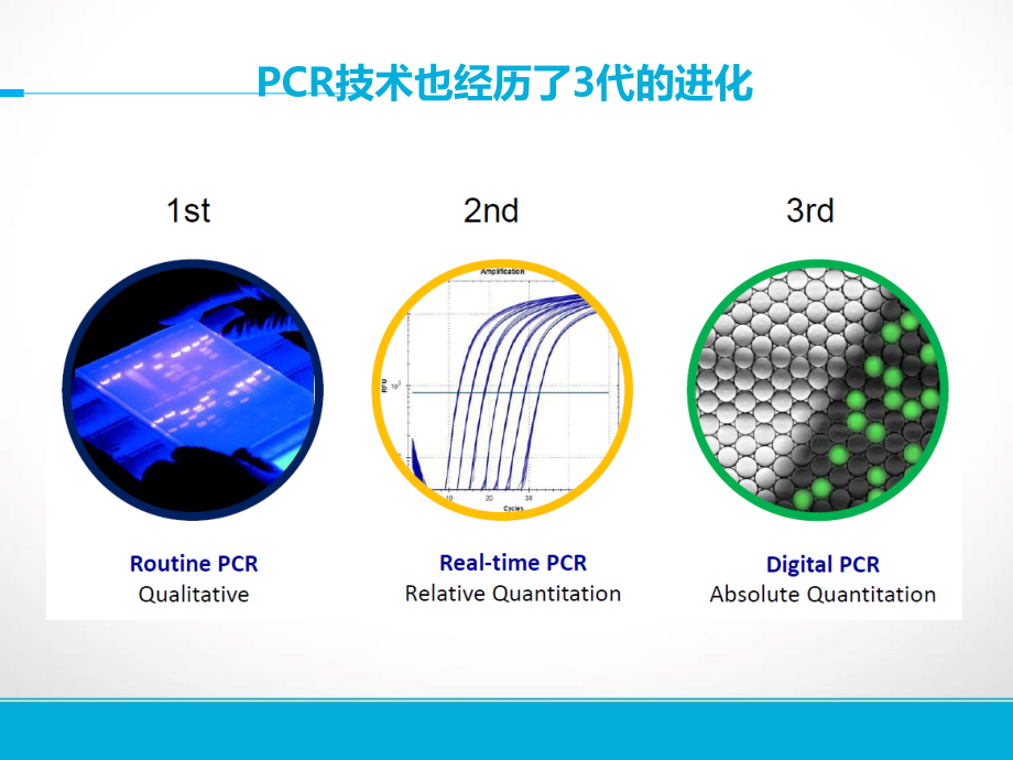 基因检测技术在肺癌精准治疗中的应用-靶向捕获测序与ddPCR比较只是分享.ppt_第2页