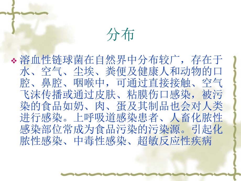 溶血性链球菌讲义doc资料.ppt_第2页