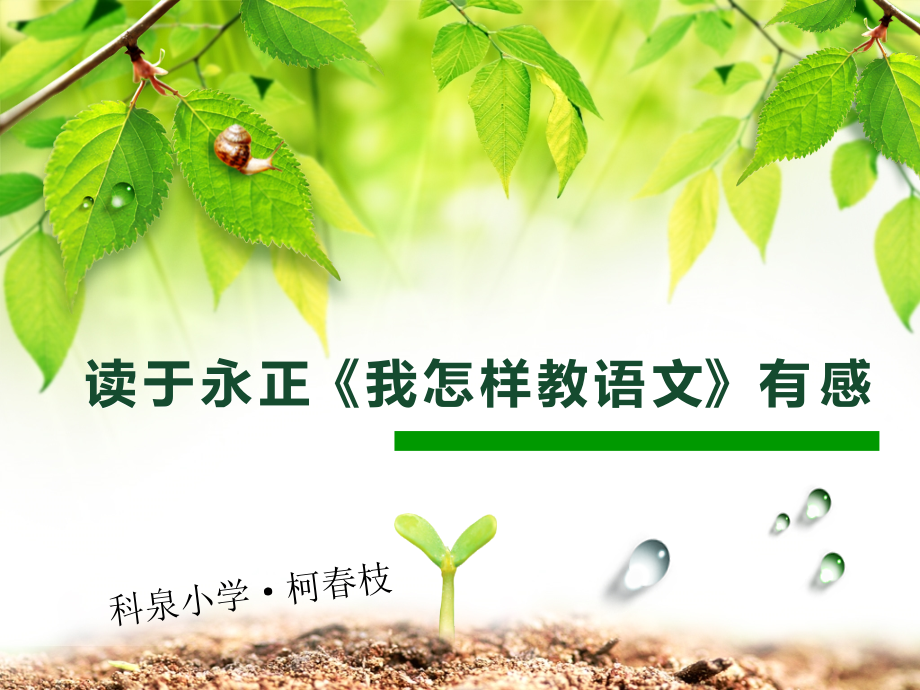 《我怎样教语文》读后感教学文稿.ppt_第1页