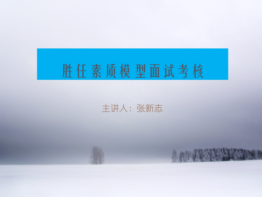 胜任素质面试考核教学内容.ppt_第1页