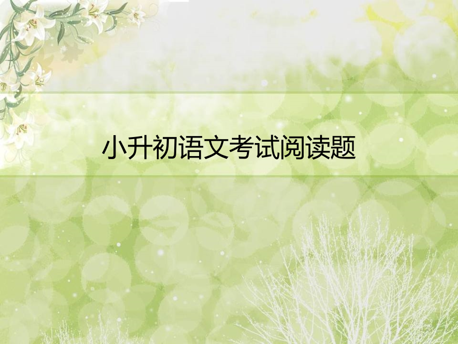 小升初语文考试阅读辅导(优秀课件)doc资料.ppt_第1页