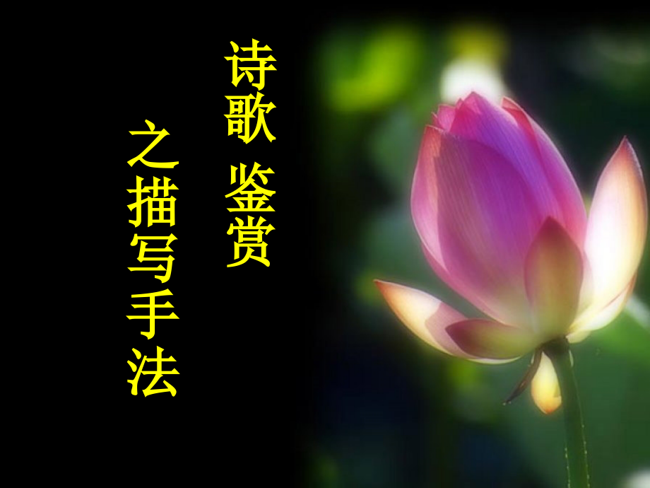 诗词鉴赏中的描写手法讲课讲稿.ppt_第1页