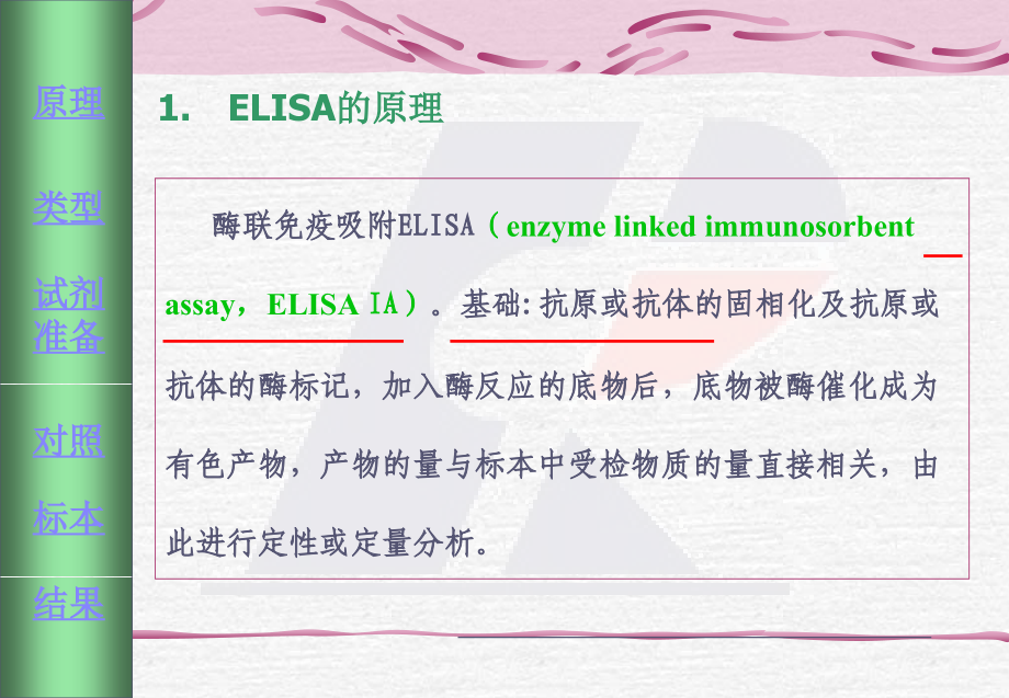 蛋白检测ELISA演示教学.ppt_第2页