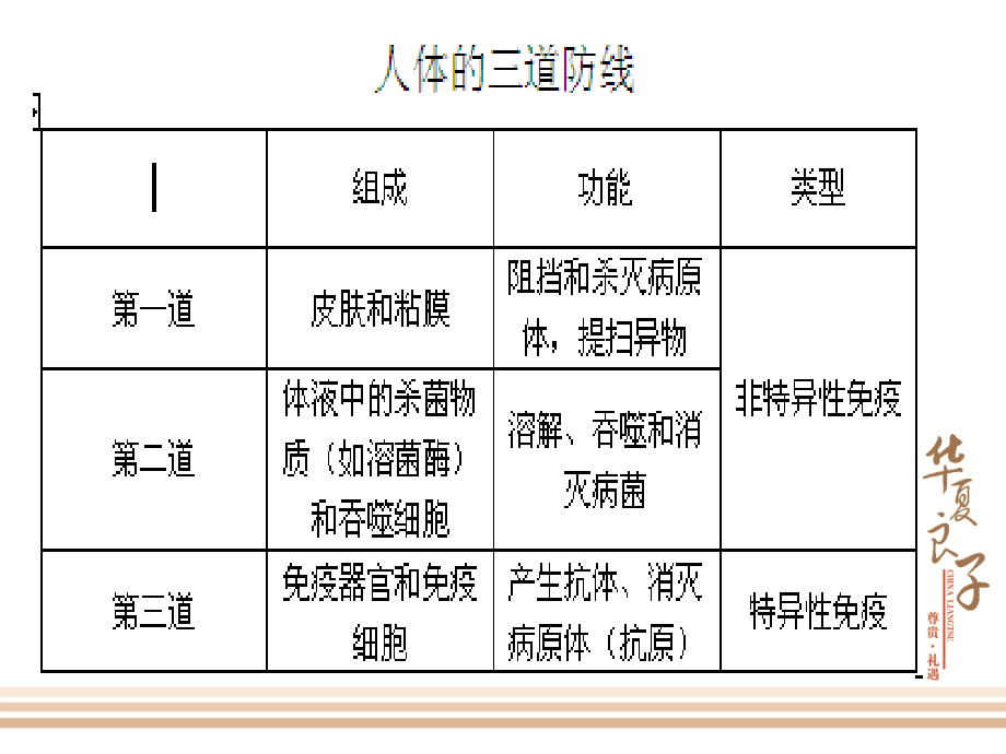 《淋巴排毒基础知识》说课材料.ppt_第2页