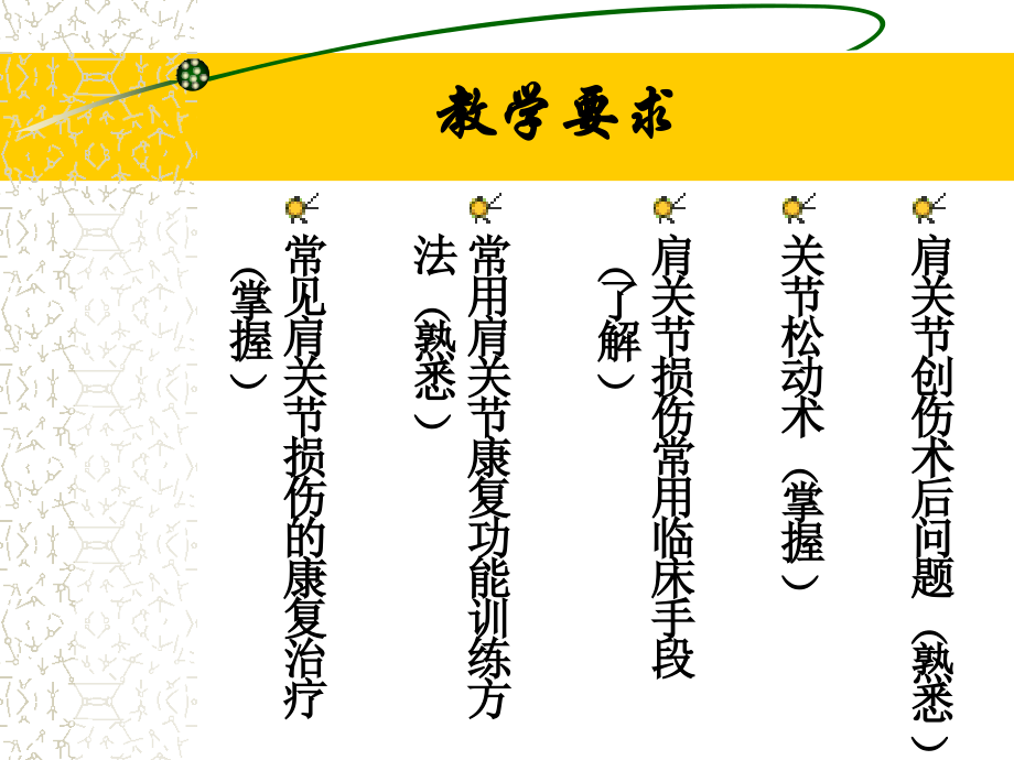 肩关节运动损伤治疗培训讲学.ppt_第2页