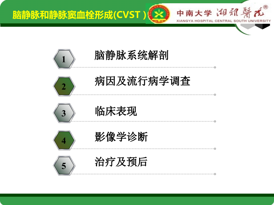 cvst-颅内静脉窦血栓形成教学提纲.ppt_第2页