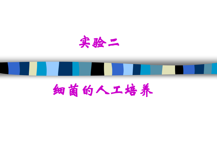 实验二-细菌人工培养学习资料.ppt_第1页