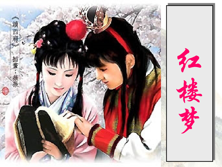 红楼梦名著导读复习过程.ppt_第2页