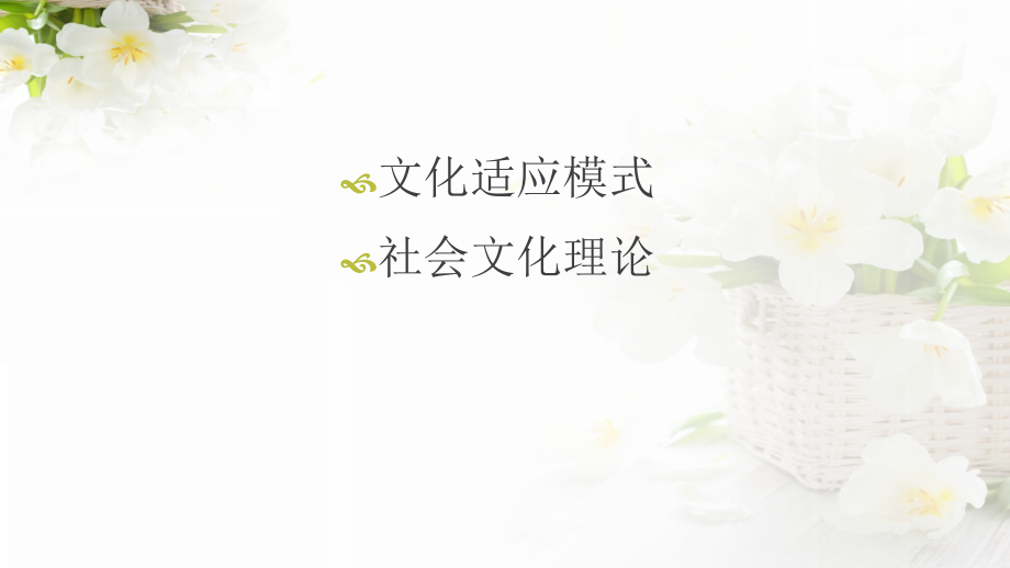 第二语言习得研究的社会文化模式电子教案.ppt_第2页