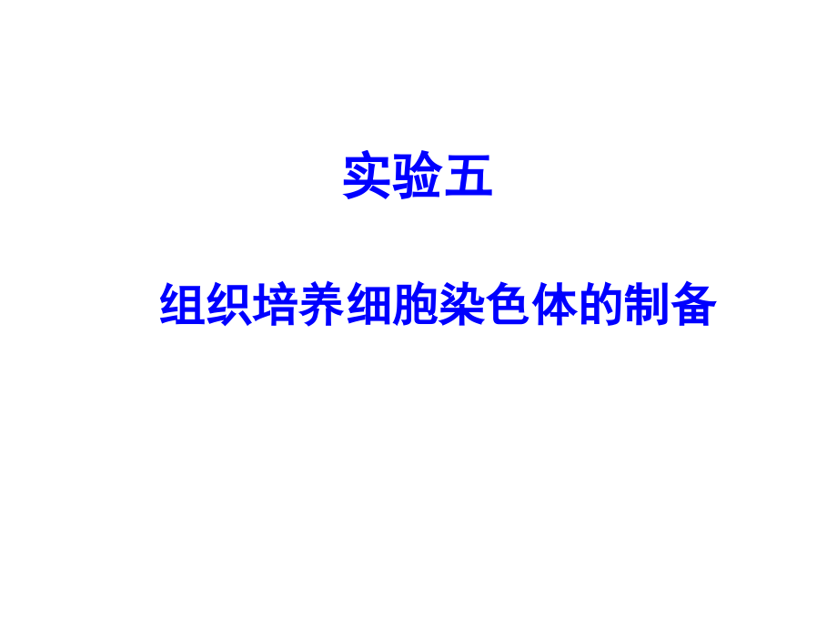 实验五.-细胞染色体制备讲解学习.ppt_第1页