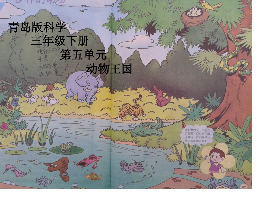 青岛版科学三年级下册《动物王国》公开课获奖课件百校联赛一等奖课件.pptx_第1页