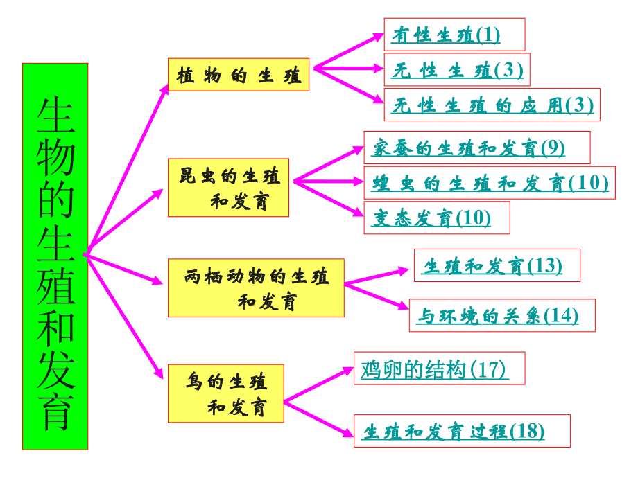 八年级下册生物复习课件word版本.ppt_第2页