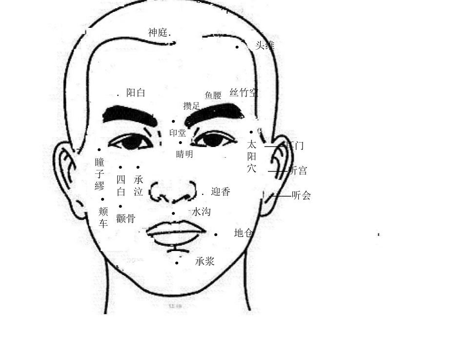 清逸安神头疗整理教学内容.ppt_第2页