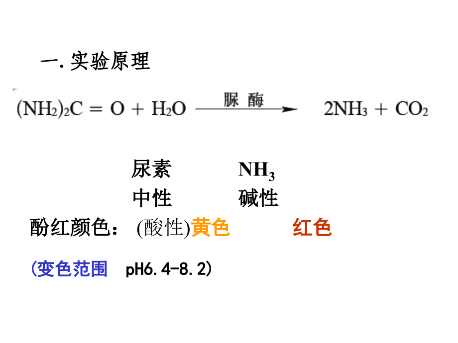 实验2分离以尿素为氮源的微生物2讲解学习.ppt_第2页