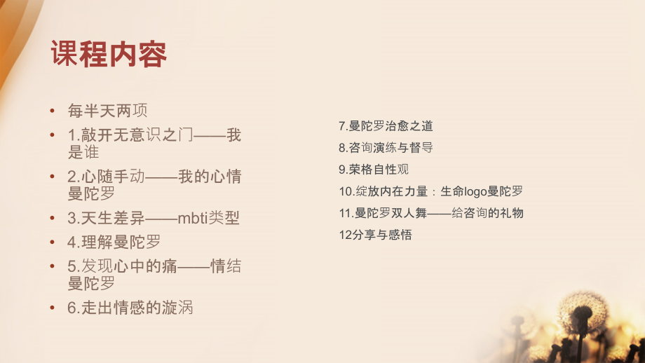 曼陀罗绘画分析教学资料.ppt_第2页