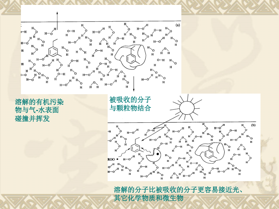 5-吸附和有机质吸附过程讲课稿.ppt_第2页
