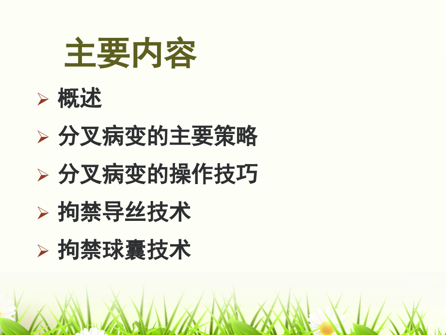《边支球囊保护技术在分叉病变中的应用》讲解学习.ppt_第2页