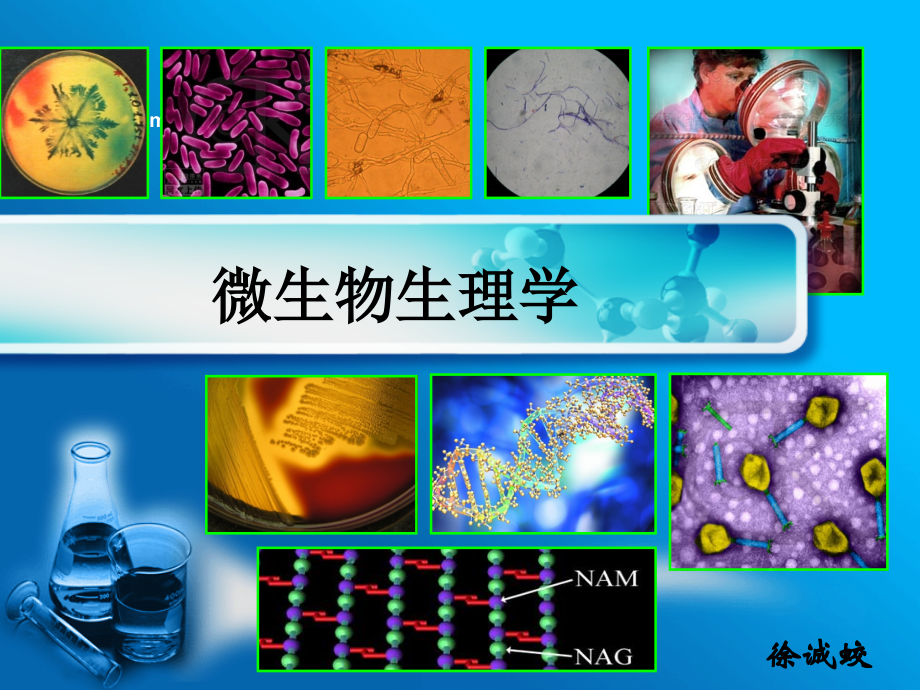 微生物生理学教学文稿.ppt_第1页