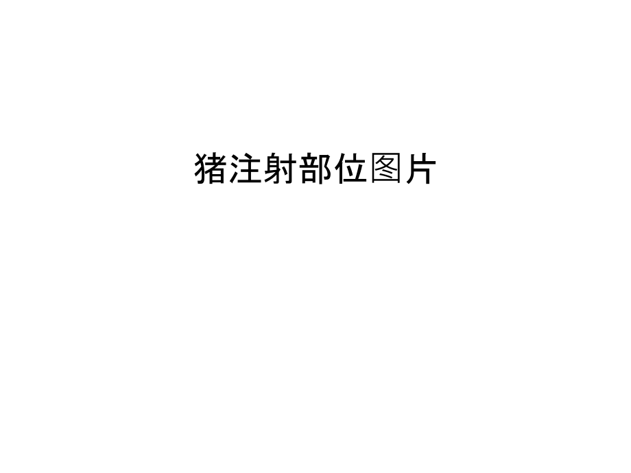 猪注射部位图片培训讲学.ppt_第1页