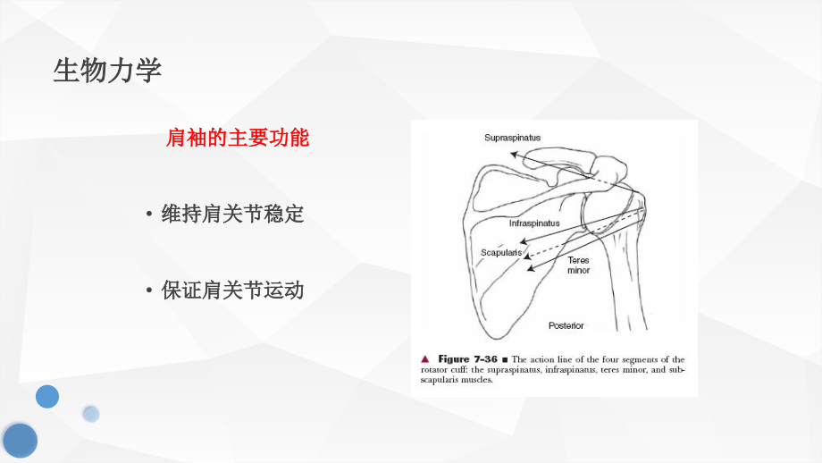 肩袖损伤护理查房教学教材.ppt_第2页