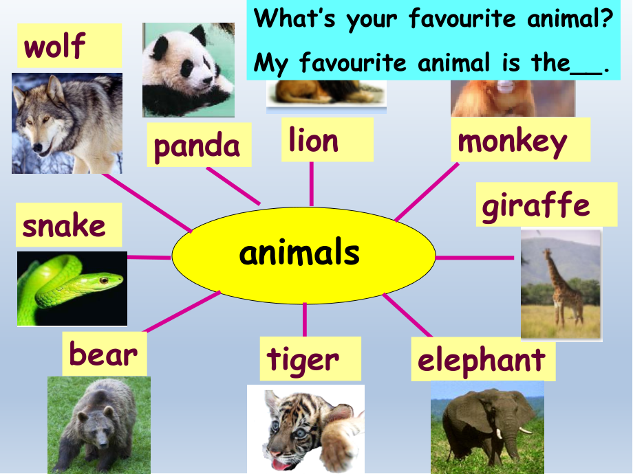 Module6-Animals-in-danger-Unit1演示教学.pptx_第2页