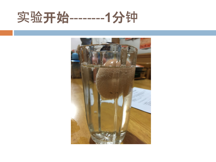 生鸡蛋去壳的实验电子教案.ppt_第2页