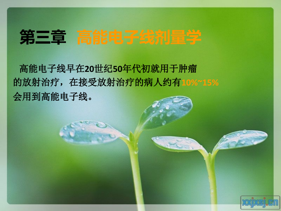 4高能电子线剂量学讲课讲稿.ppt_第1页